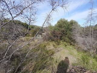 Zemljište - ostalo, Prodaja, Tribunj, Tribunj