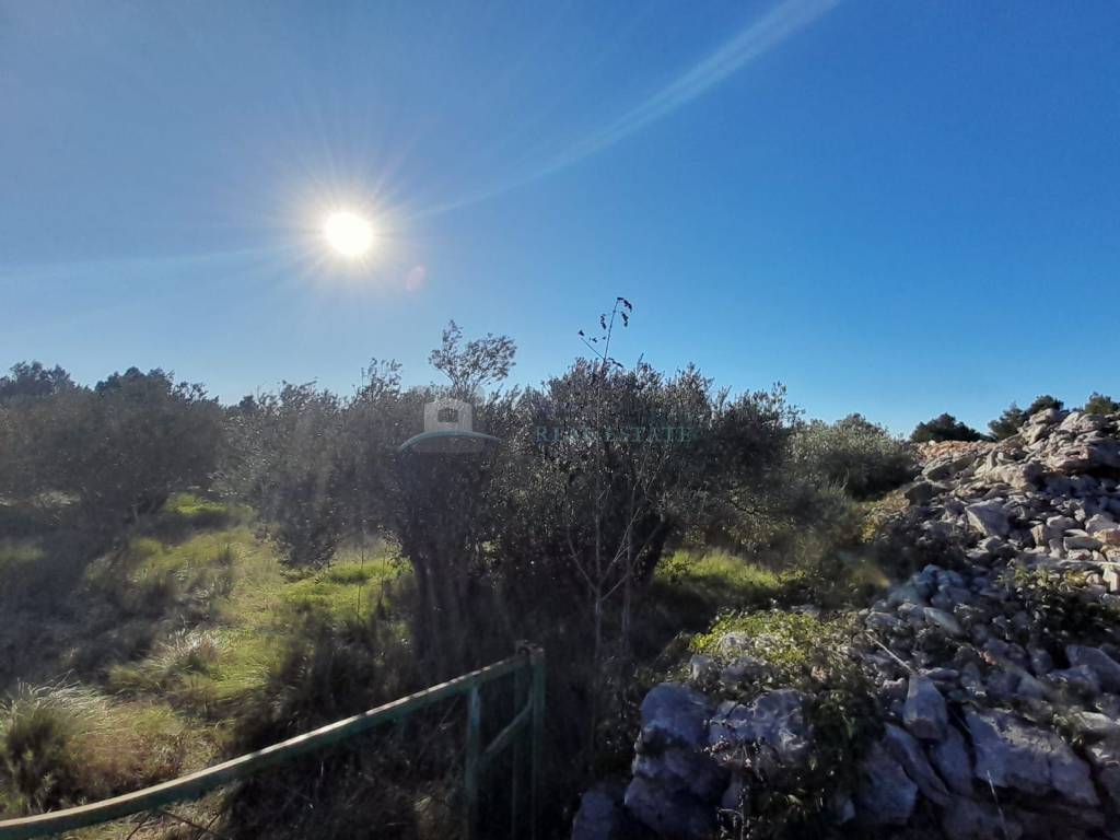 Poljoprivredno zemljište, Prodaja, Vodice, Srima