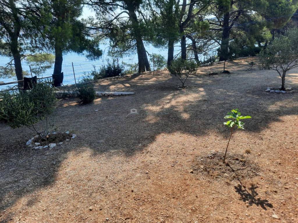 Poljoprivredno zemljište, Prodaja, Murter, Murter