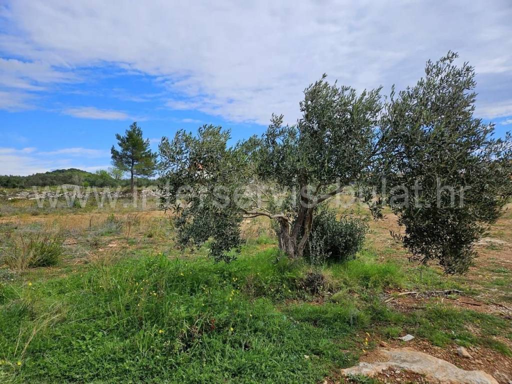 Građevinsko zemljište, Prodaja, Tribunj, Tribunj