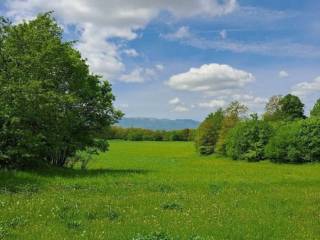 Lovinac, Gornja Ploča