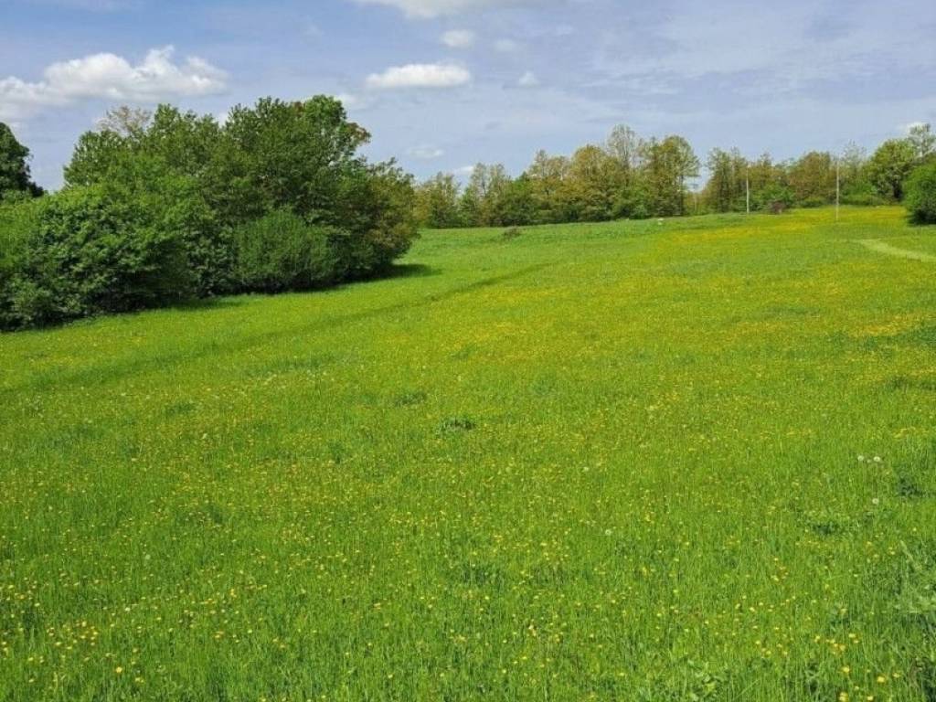 Lovinac, Gornja Ploča