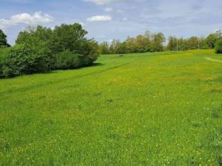 Lovinac, Gornja Ploča