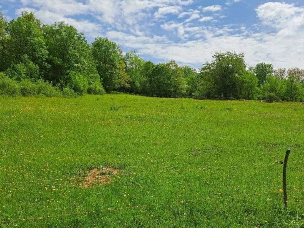 Lovinac, Gornja Ploča