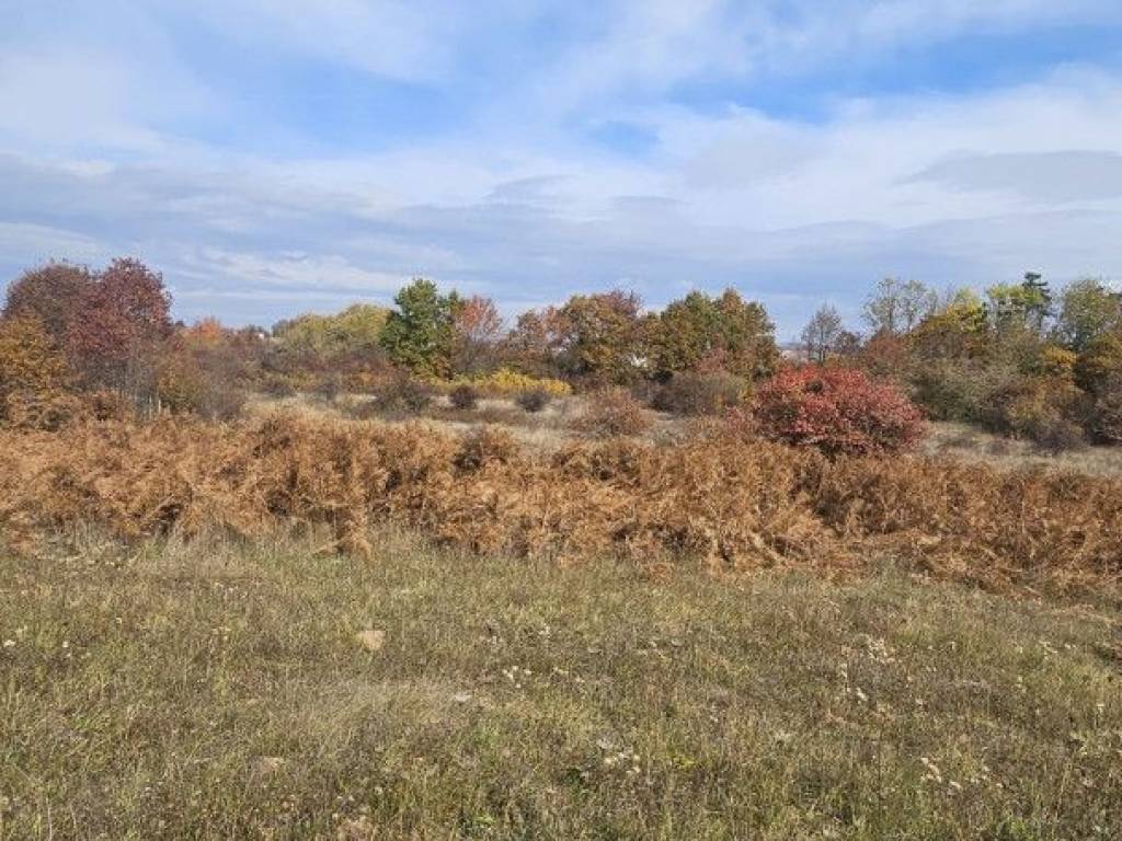 Gospić, Obradović Varoš