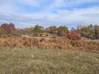 Gospić, Obradović Varoš