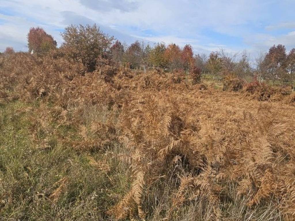 Gospić, Obradović Varoš