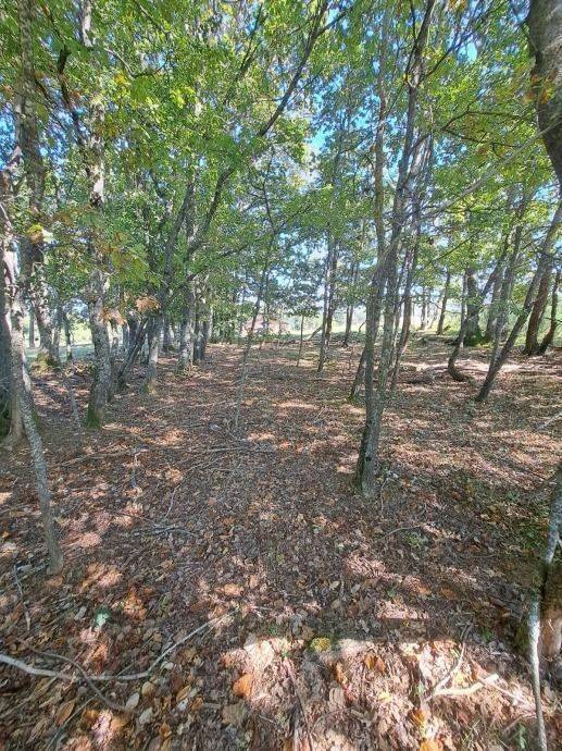 Kuća u izgradnji, Prodaja, Gospić - Okolica, Klanac