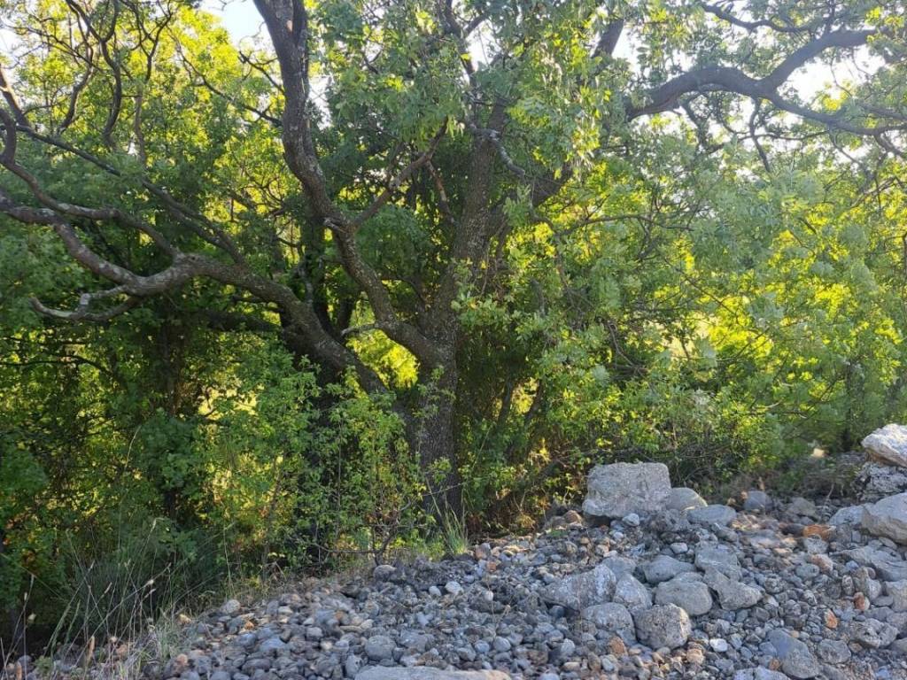 Poljoprivredno zemljište, Prodaja, Starigrad, Seline