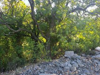 Poljoprivredno zemljište, Prodaja, Starigrad, Seline