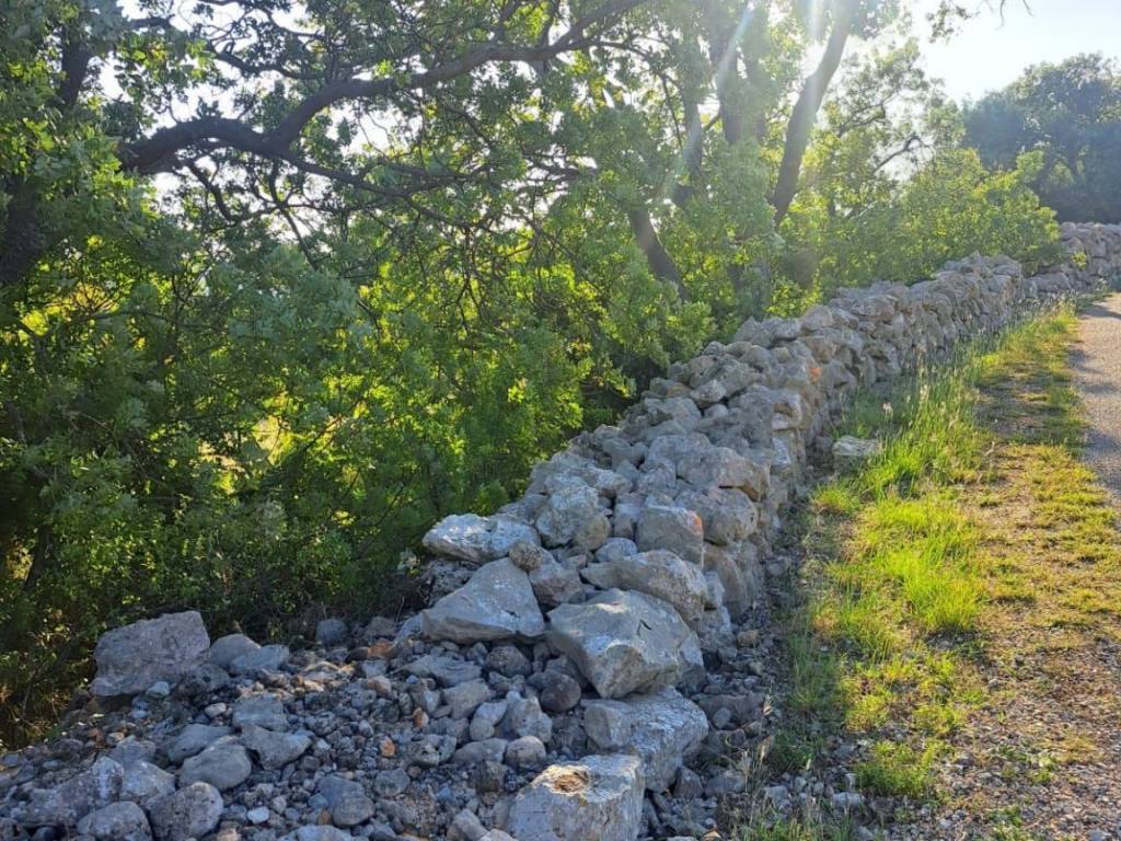 Poljoprivredno zemljište, Prodaja, Starigrad, Seline