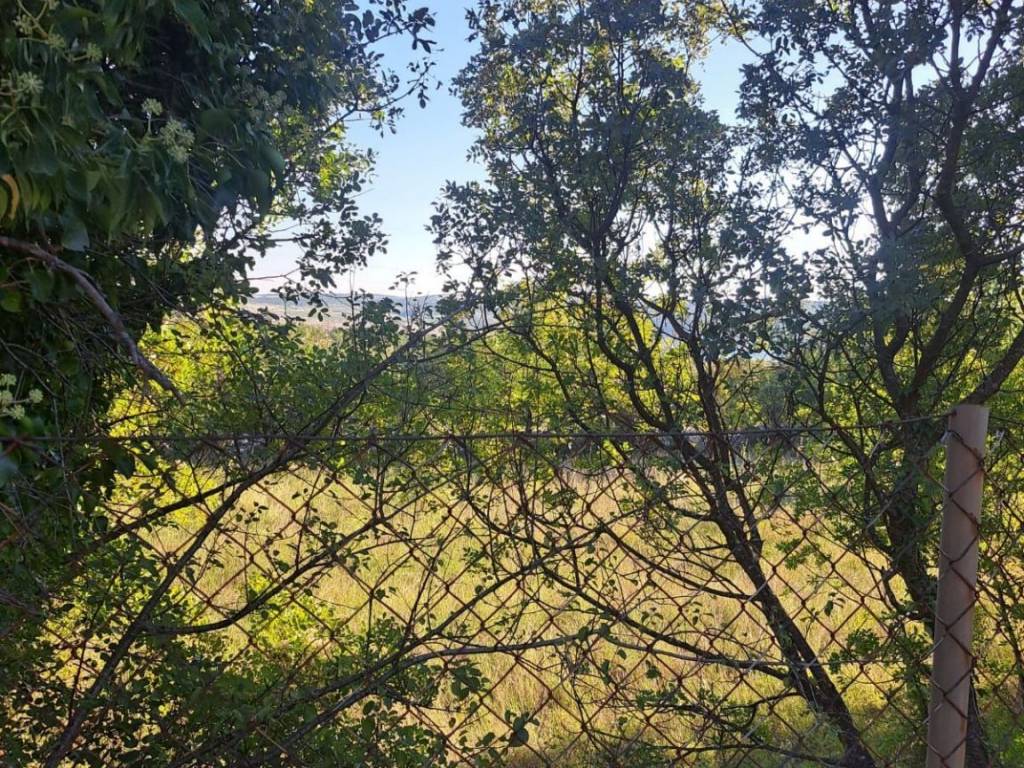 Poljoprivredno zemljište, Prodaja, Starigrad, Seline