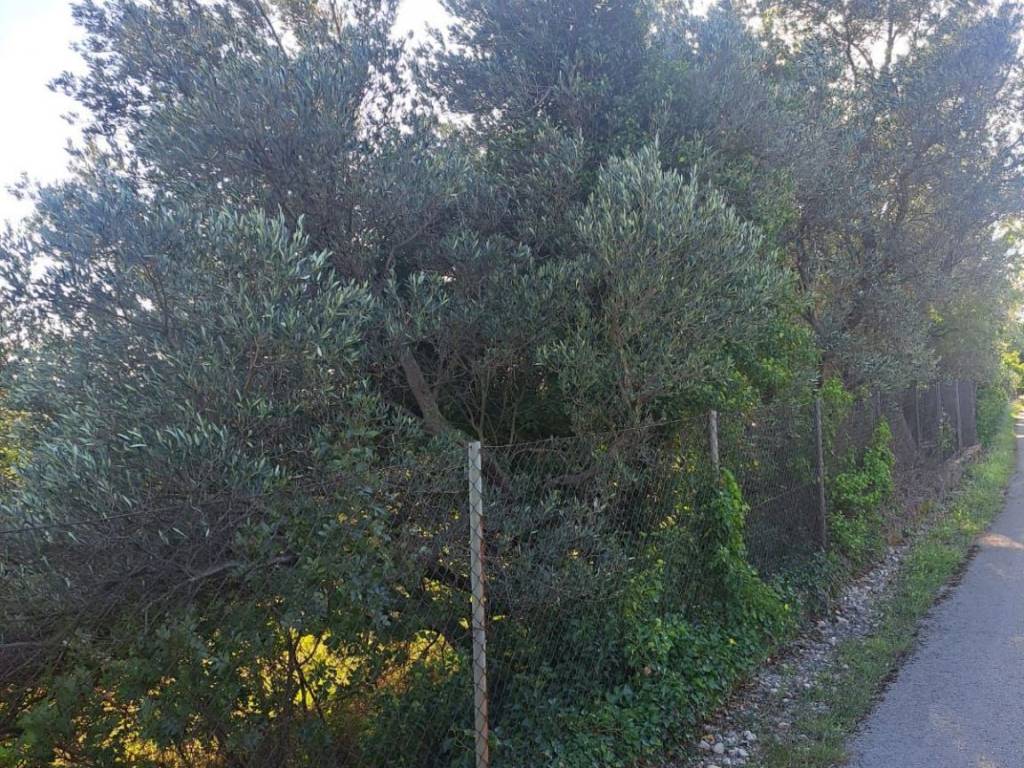 Poljoprivredno zemljište, Prodaja, Starigrad, Seline