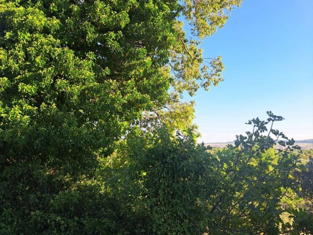 Poljoprivredno zemljište, Prodaja, Starigrad, Seline