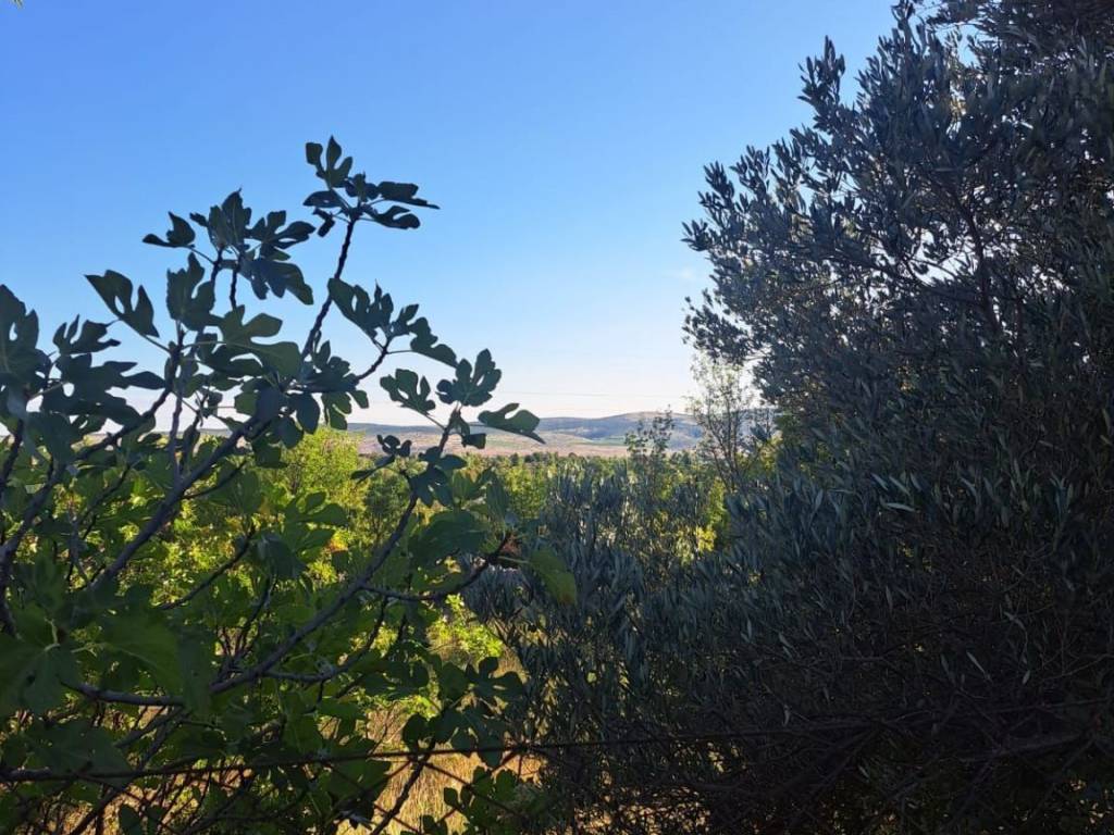 Poljoprivredno zemljište, Prodaja, Starigrad, Seline