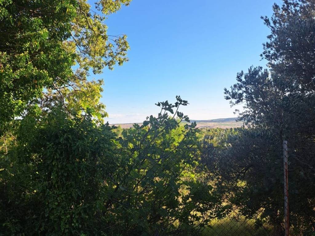 Poljoprivredno zemljište, Prodaja, Starigrad, Seline