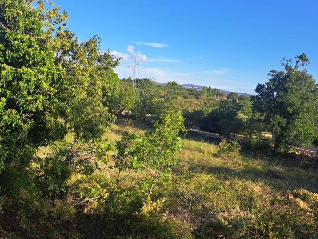 Poljoprivredno zemljište, Prodaja, Starigrad, Seline