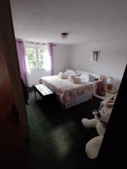 Samostojeća kuća, Prodaja, Nin, Zaton