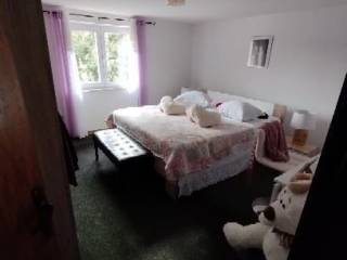 Samostojeća kuća, Prodaja, Nin, Zaton