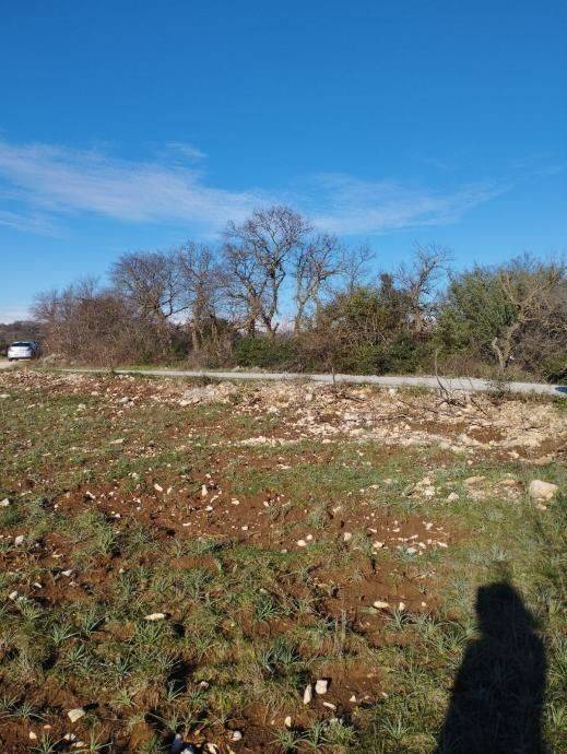 Gradevinsko zemljište, Prodaja, Policnik, Briševo