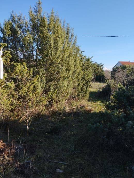 Gradevinsko zemljište, Prodaja, Policnik, Briševo