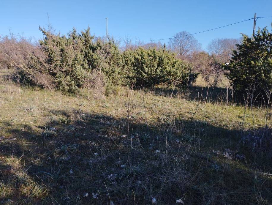 Gradevinsko zemljište, Prodaja, Policnik, Briševo