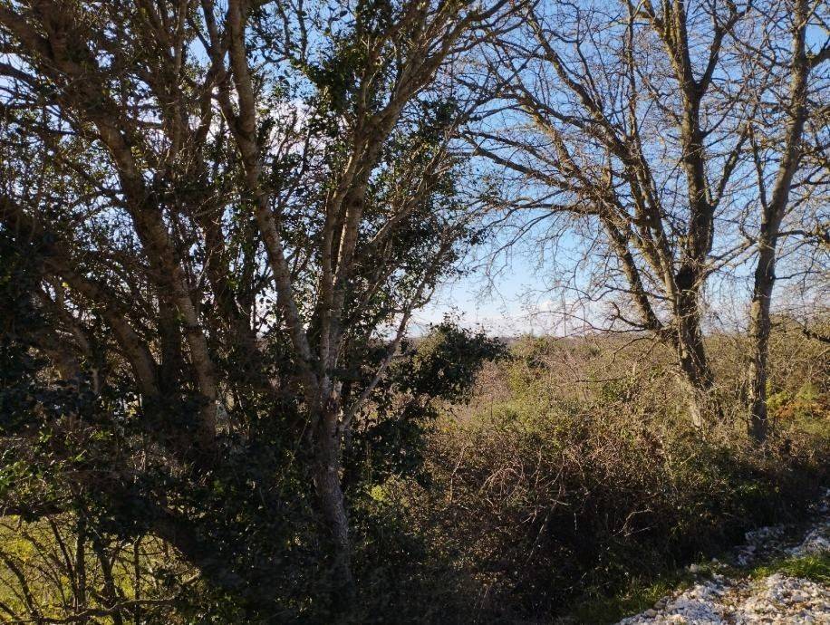 Gradevinsko zemljište, Prodaja, Policnik, Briševo