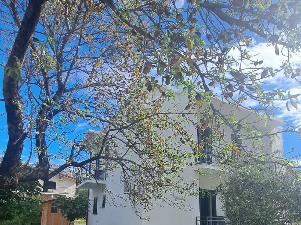 Apartmanska kuća, Prodaja, Starigrad, Starigrad