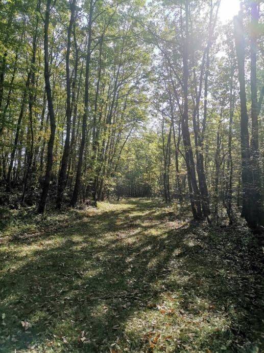 Poljoprivredno zemljište, Prodaja, Lovinac, Lovinac