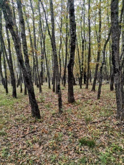 Poljoprivredno zemljište, Prodaja, Lovinac, Lovinac