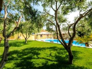 Vila, Prodaja, Starigrad, Tribanj