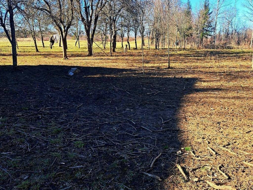 Građevinsko mješovito, Prodaja, Gospić - Okolica, Lički Ribnik