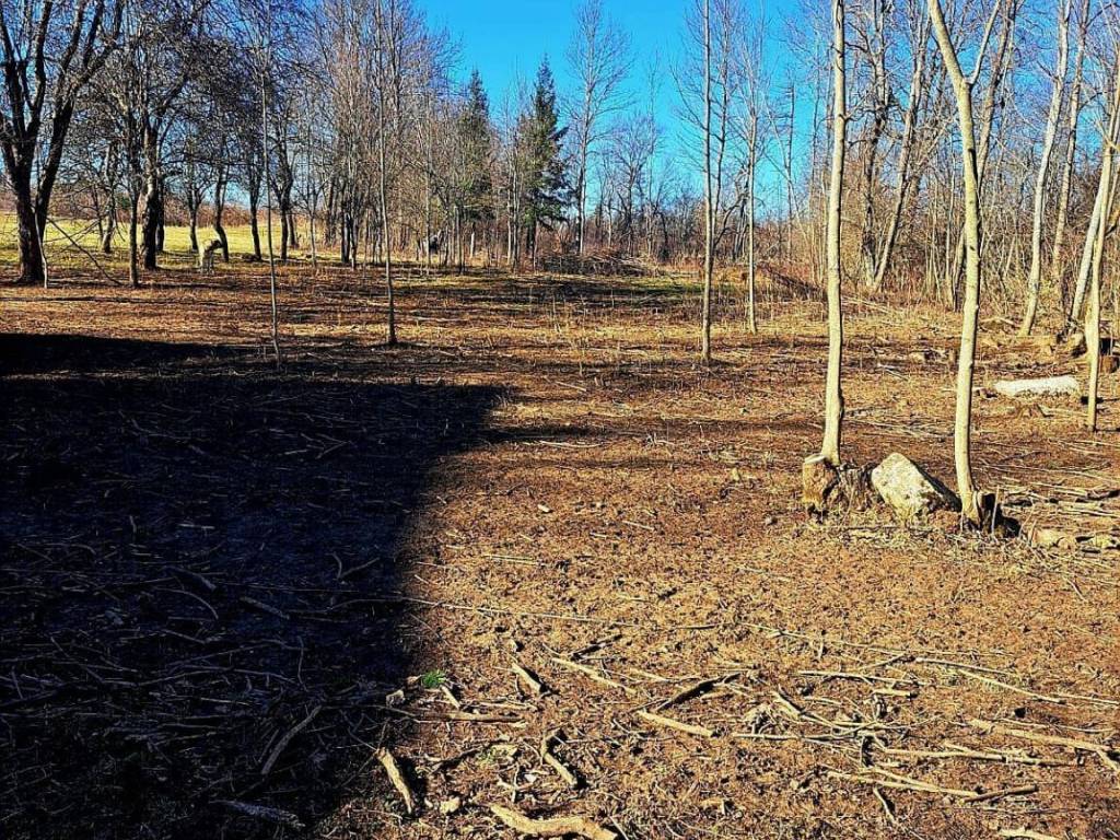 Građevinsko mješovito, Prodaja, Gospić - Okolica, Lički Ribnik