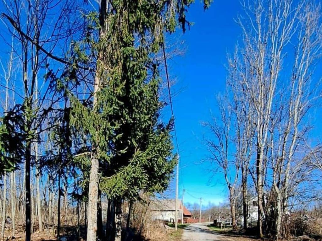 Građevinsko mješovito, Prodaja, Gospić - Okolica, Lički Ribnik