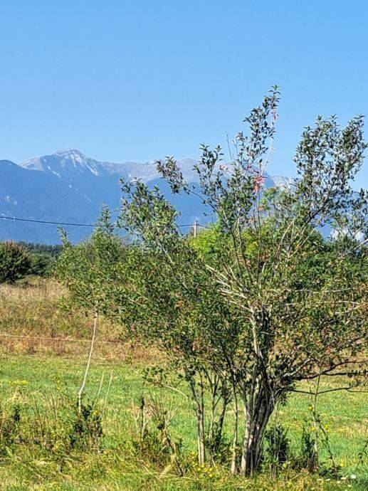 Građevinsko mješovito, Prodaja, Lovinac, Ličko Cerje