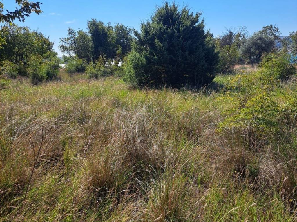 Građevinsko zemljište, Prodaja, Starigrad, Seline