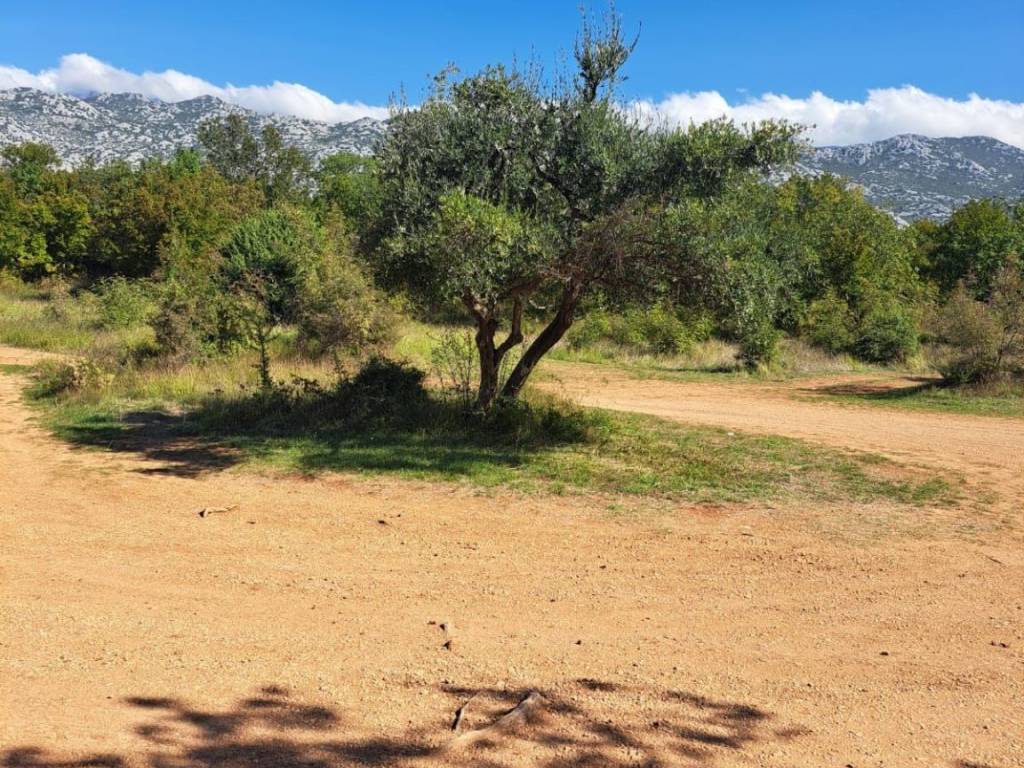 Građevinsko zemljište, Prodaja, Starigrad, Seline