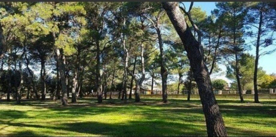 Građevinsko zemljište, Prodaja, Rovinj, Rovinj