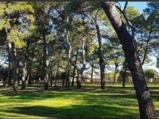 Građevinsko zemljište, Prodaja, Rovinj, Rovinj