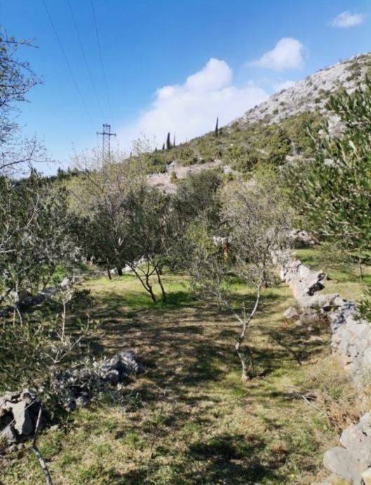 Poljoprivredno zemljište, Prodaja, Starigrad, Starigrad