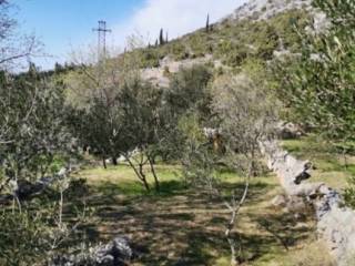 Poljoprivredno zemljište, Prodaja, Starigrad, Starigrad