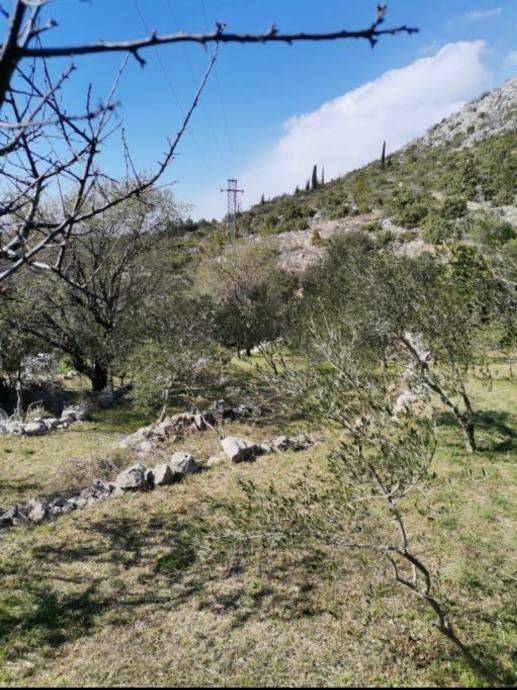 Poljoprivredno zemljište, Prodaja, Starigrad, Starigrad