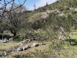 Poljoprivredno zemljište, Prodaja, Starigrad, Starigrad