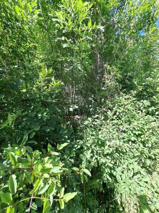 Građevinsko zemljište, Prodaja, Gospić - Okolica, Donje Pazarište