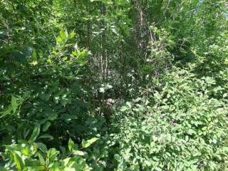 Građevinsko zemljište, Prodaja, Gospić - Okolica, Donje Pazarište