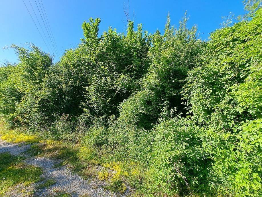 Građevinsko zemljište, Prodaja, Gospić - Okolica, Donje Pazarište