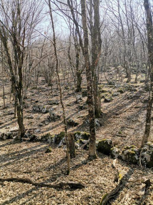 Građevinsko zemljište, Prodaja, Lovinac, Lovinac