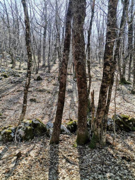 Građevinsko zemljište, Prodaja, Lovinac, Lovinac
