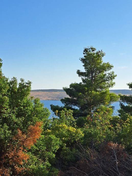Građevinsko zemljište, Prodaja, Starigrad, Seline