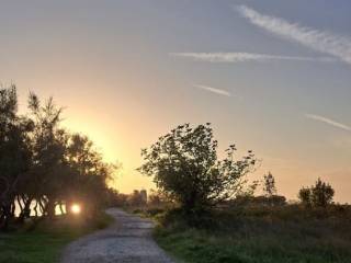 Poljoprivredno zemljište, Prodaja, Starigrad, Starigrad